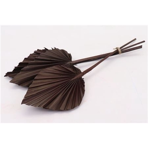 Dried Palm Spear 10pc W10-12 Brown Bunch Slv