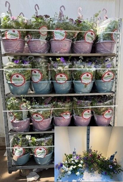 <h4>PERKPL GEM IN POT</h4>