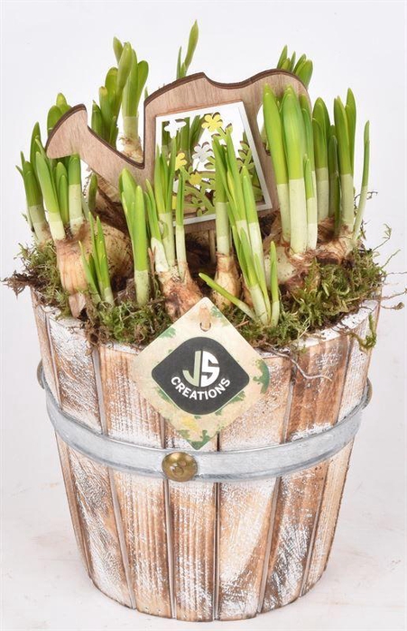 <h4>Hout pot 15cm</h4>