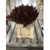 Quercus Rubra sleeve L60 Cerise h%*