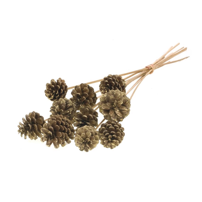<h4>Pine C 5-7 O/s Nat Gold T</h4>