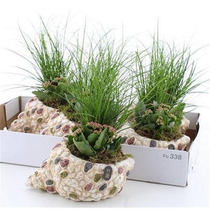 Arr Tuinplanten Shelve Big Size