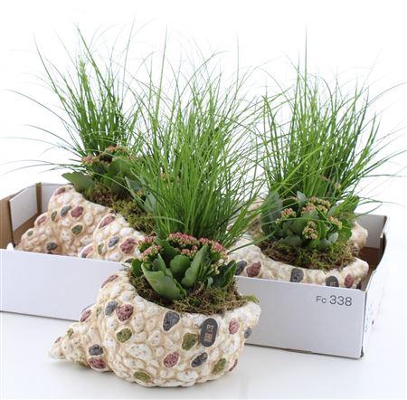 <h4>Arr Tuinplanten Shelve Big Size</h4>