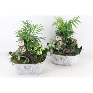 arr2 TD - Zink ovaal - rood/wit