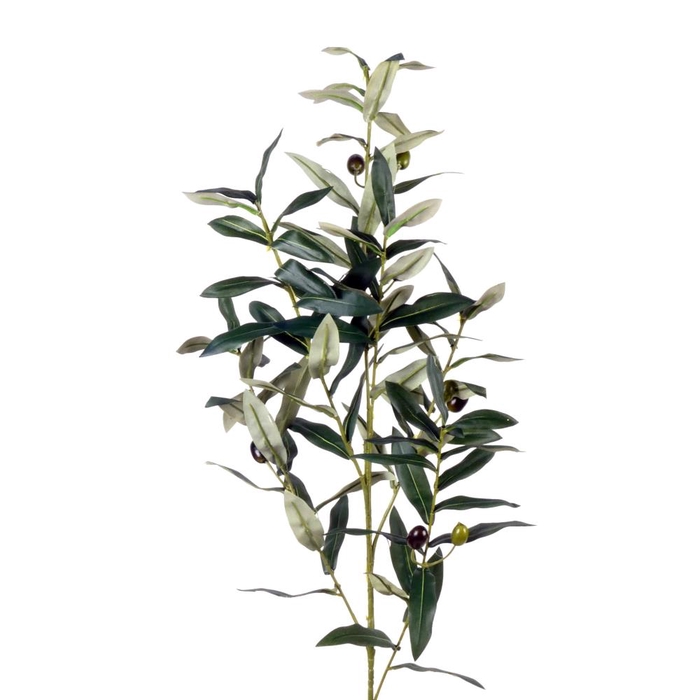 Af Olive Spray L104cm Green
