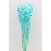 Pres Eryngium Mini Baby Blue Bunch