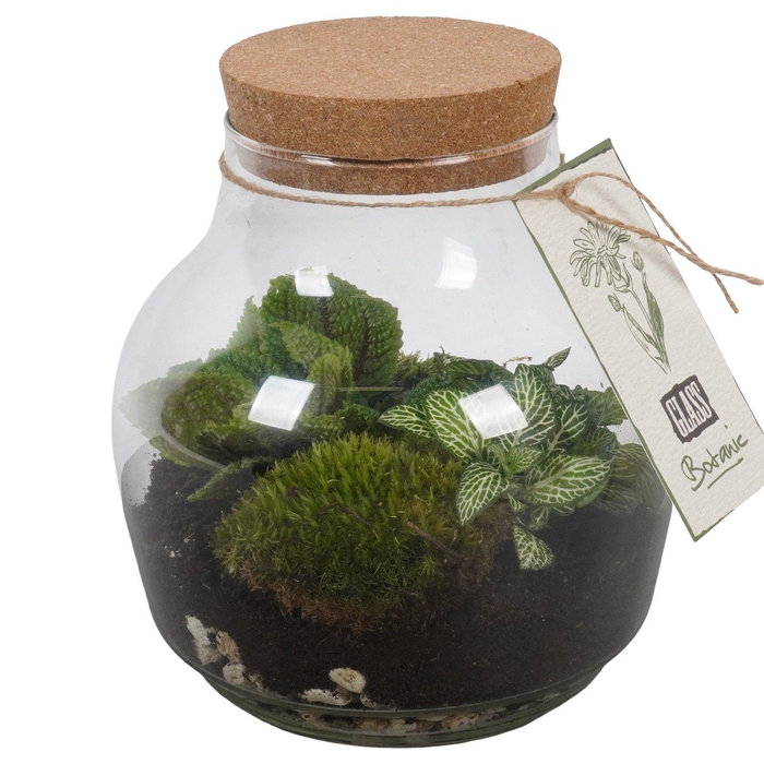 <h4>PTGIG2170 Arrangement Greens in glass in glazen terrarium</h4>