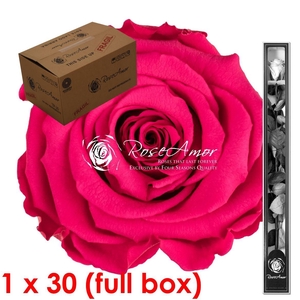 60cm Stem Pin03 Bulk