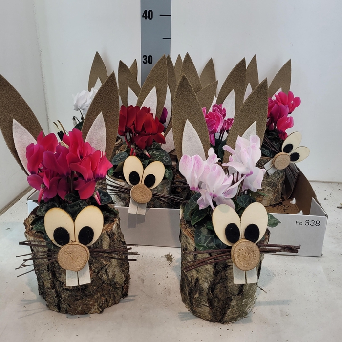 <h4>ARR TUINPLANTEN</h4>