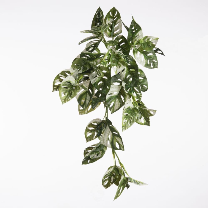 <h4>Af Hangpl Monstera X9 L70cm Bo</h4>