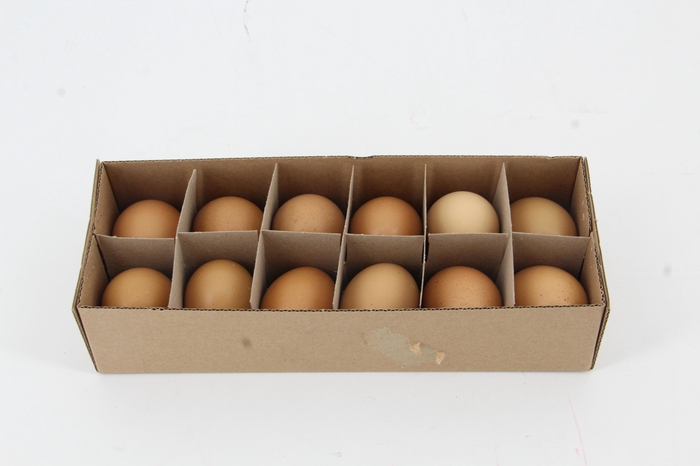 <h4>HUIS EN TUINDECO H%</h4>