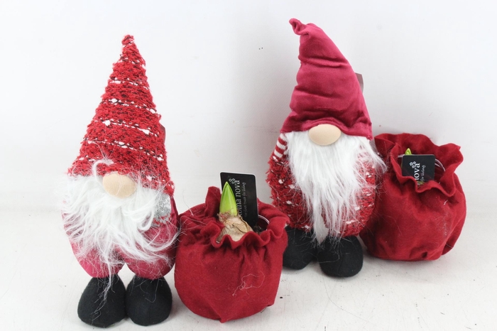 <h4>arr4 Hyacint RN - Santa side kicks</h4>