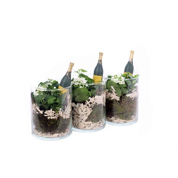 <h4>Opgemaakt cilinder glas met mos, Hedera, Kalanchoe en fles bij</h4>