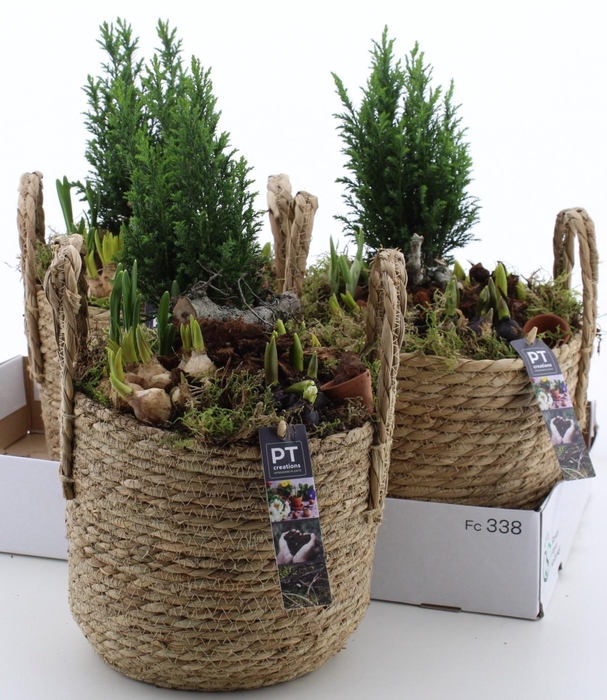 <h4>ARR PL IN SCHAAL</h4>