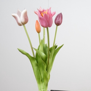 Af Tulip Bundle x5 L45cm Mix B