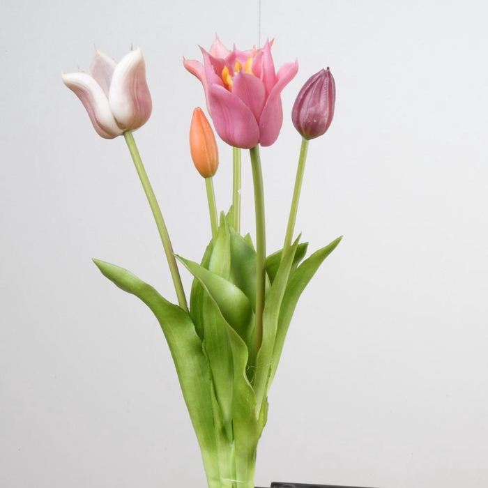 <h4>Af Tulip Bundle x5 L45cm Mix B</h4>