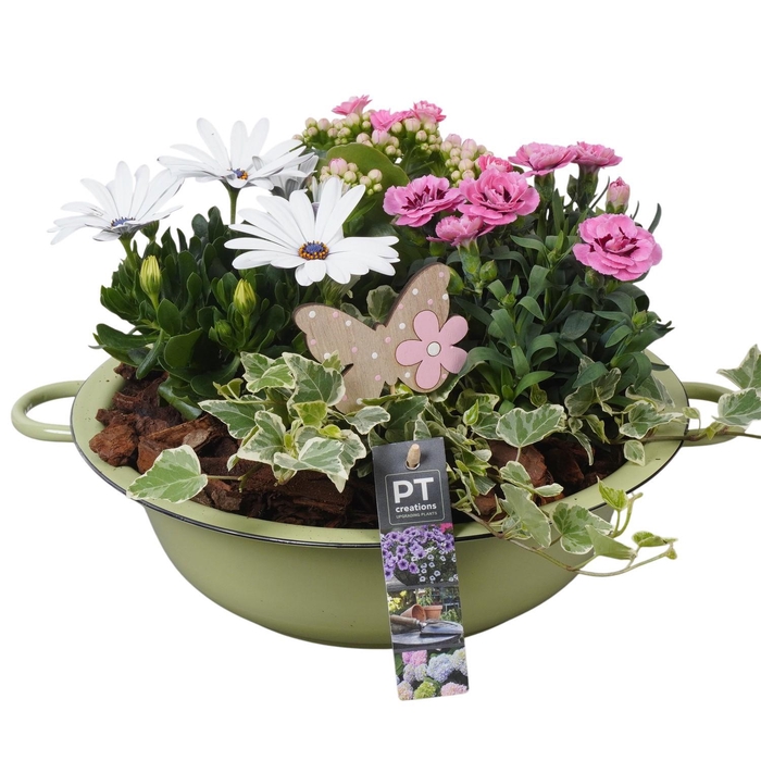 <h4>PTPP6850 Arrangement Patio in metalen schaal</h4>
