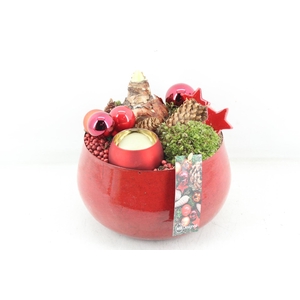 arr4 Amaryllis MB - Zink bolpot rood wax