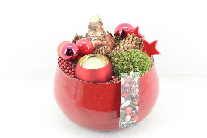 <h4>arr4 Amaryllis MB - Zink bolpot rood wax</h4>