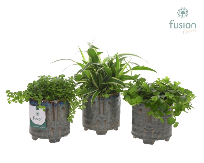 <h4>Pot op voet keramiek Medium met Groen plant</h4>