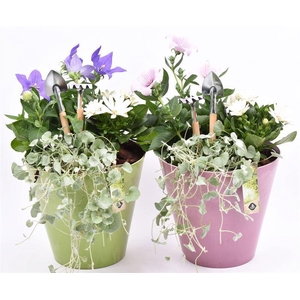 Kunststof pot roze/groen 21cm