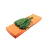 Aspidistra 60cm V P X5