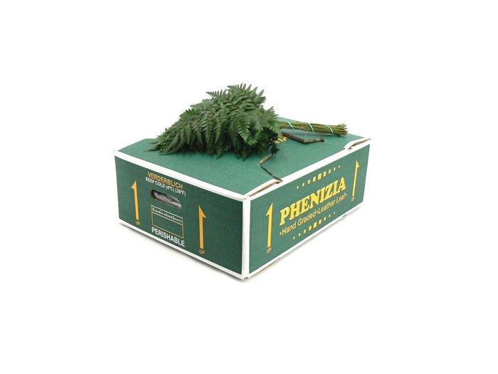 <h4>Lederv Small Spanje</h4>