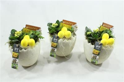 <h4>1291 IND CREME EGG</h4>