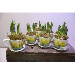 arr8 Arr N Tete A Tete In Keramiek