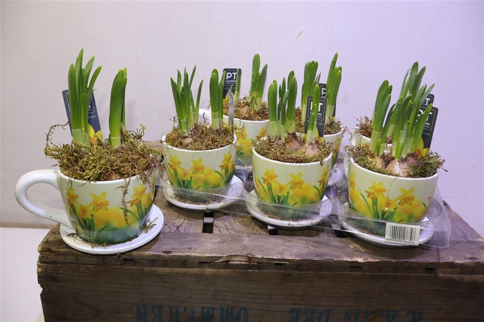 <h4>Arr N Tete A Tete In Keramiek</h4>