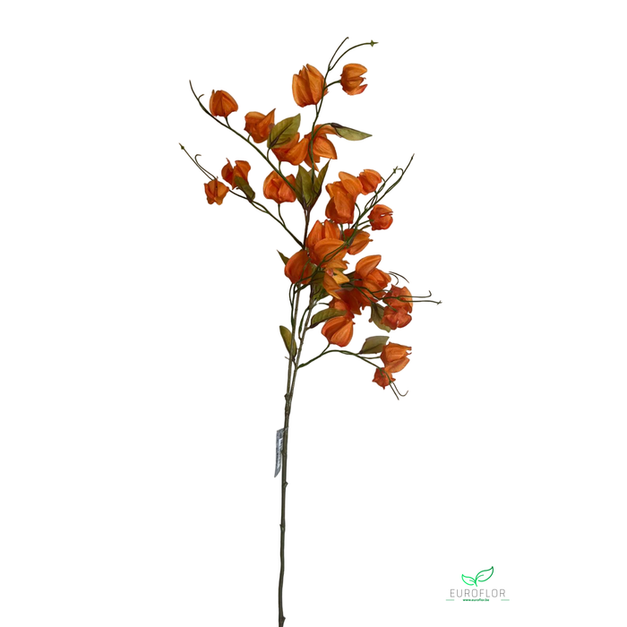 <h4>SILK FLOWERS - PHYSALIS SPRAY ORANGE 80CM</h4>