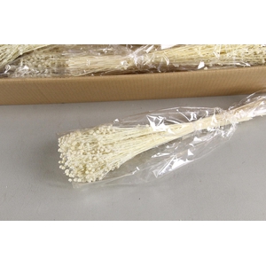 DF linium(Vlas)Bleach Bs 100g