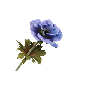 Anemone Blue