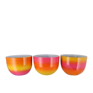 Melamine Rainbow Fuchsia Pot Ass 36x30cm