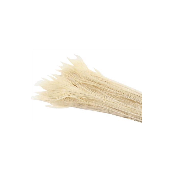 <h4>Feather Peacock Bleached 80-90cm</h4>
