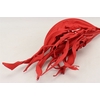 Dried Strelitzia Leaf S Red Stem Slv