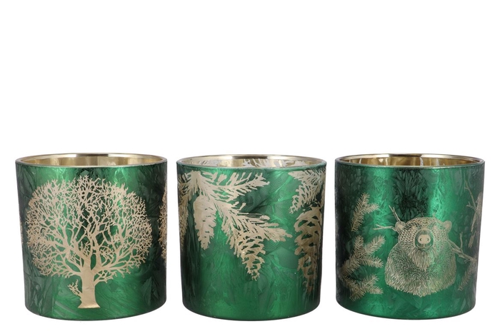 <h4>Ruby Green/gold T-light Forrest Ass 15x15cm</h4>