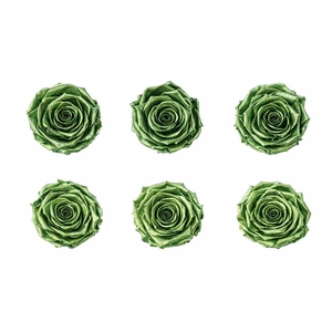 Ro Pres Metallic Green
