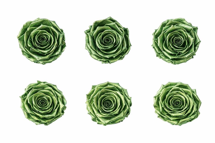 <h4>Ro Pres Metallic Green</h4>