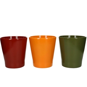 Promo Phal.pot d13*14cm