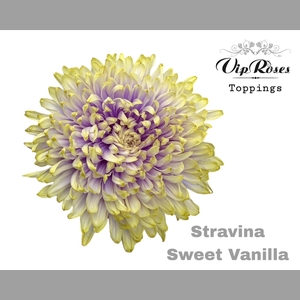 CHR G STRAVINA SWEET VANILLA