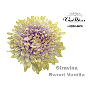 Chr G Stravina Sweet Vanilla