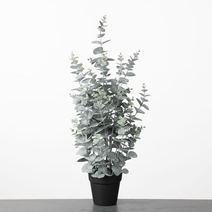 AF Eucalyptus pot H72cm Green
