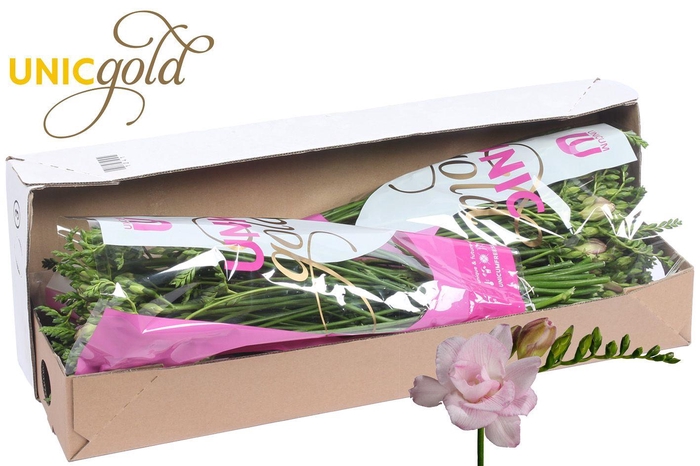 <h4>UG Barendse - Honeymoon box</h4>