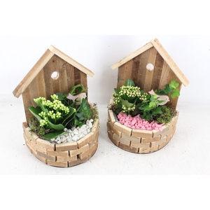 arr2 PL - Hout huisje half rond x6 - roze/wit