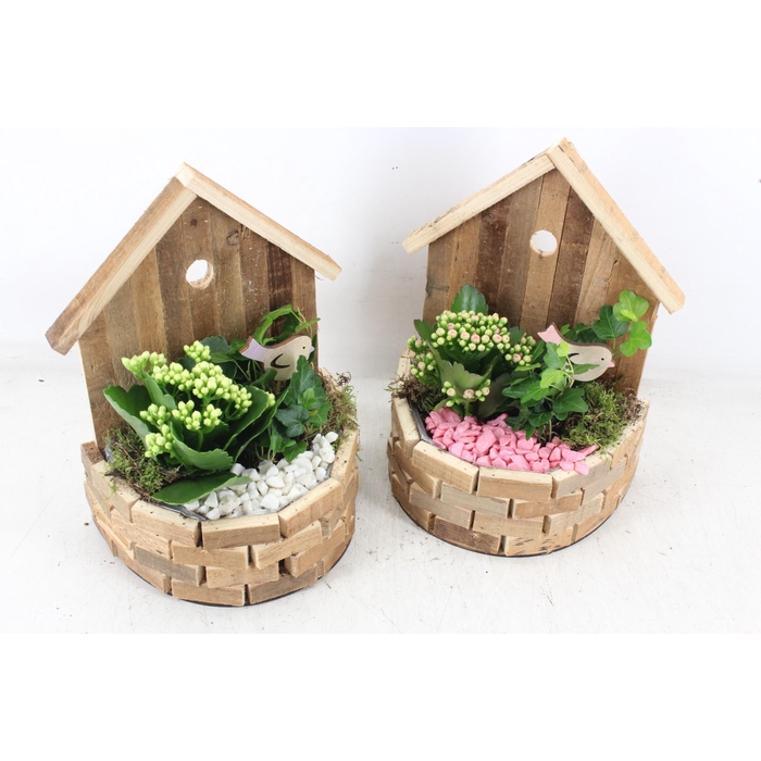 <h4>Arr2 Pl - Hout Huisje Half Rond X6 - Roze/wit</h4>