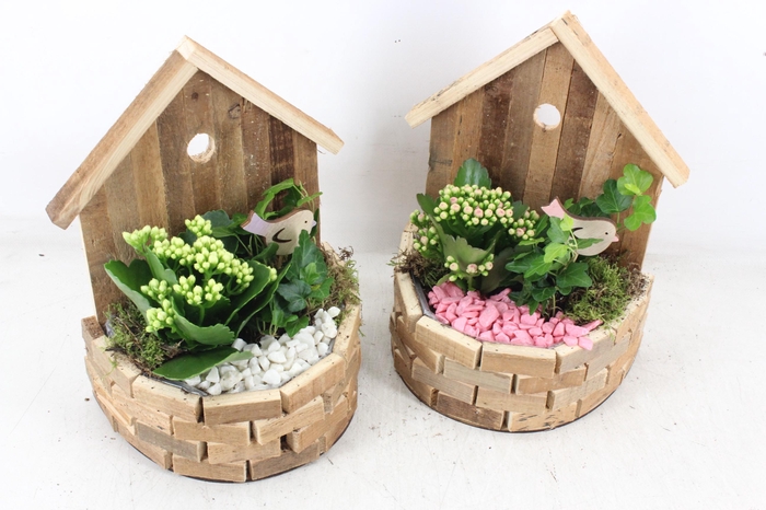 Arr2 Pl - Hout Huisje Half Rond X6 - Roze/wit