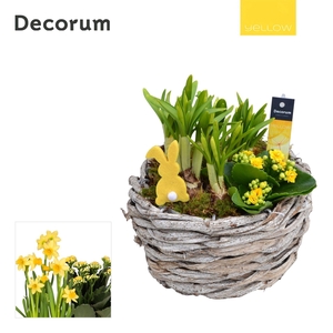 Calandiva & Narcis Gevlochten Schaal HL22785 [YELLOW]