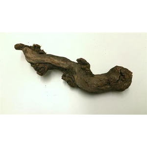 DRUIVENHOUT 25 CM