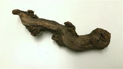<h4>DRUIVENHOUT 25 CM</h4>